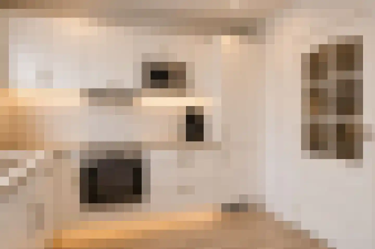Adelaertstraat 25 Eindhoven thumbnail 12