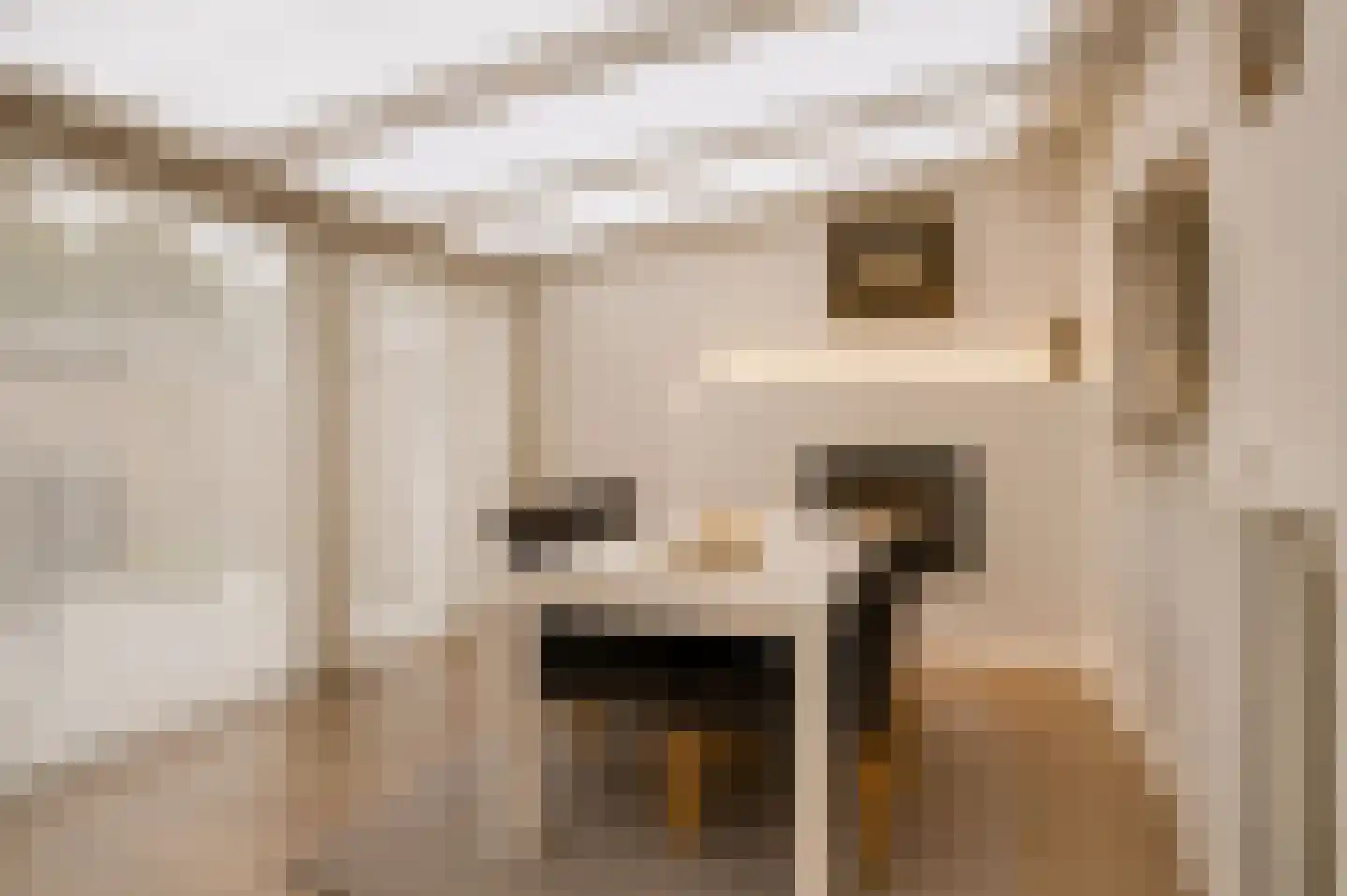 Adelaertstraat 25 Eindhoven thumbnail 14