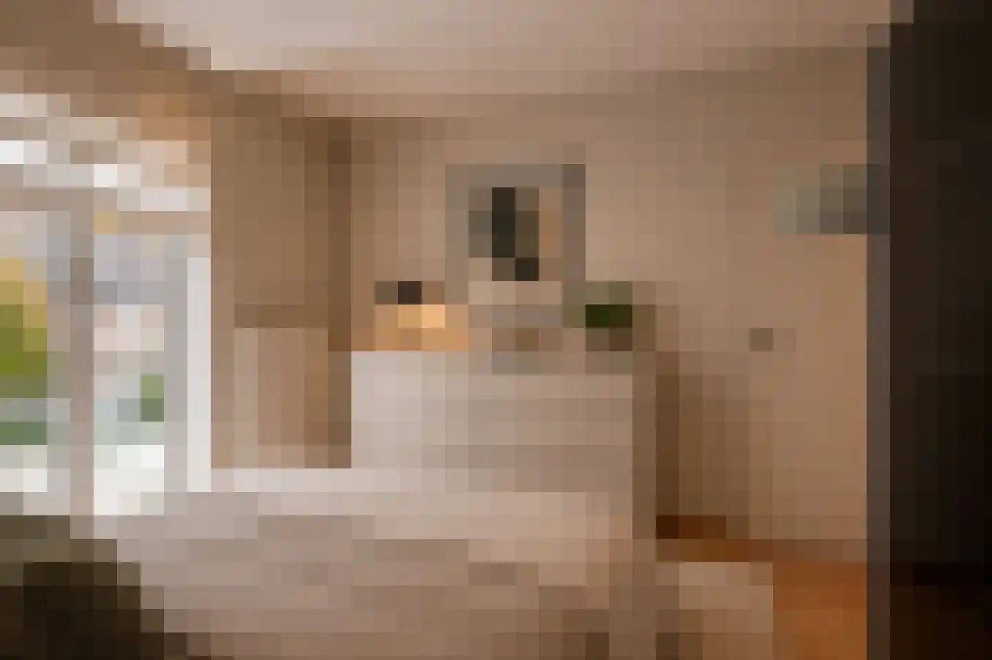Adelaertstraat 25 Eindhoven thumbnail 18