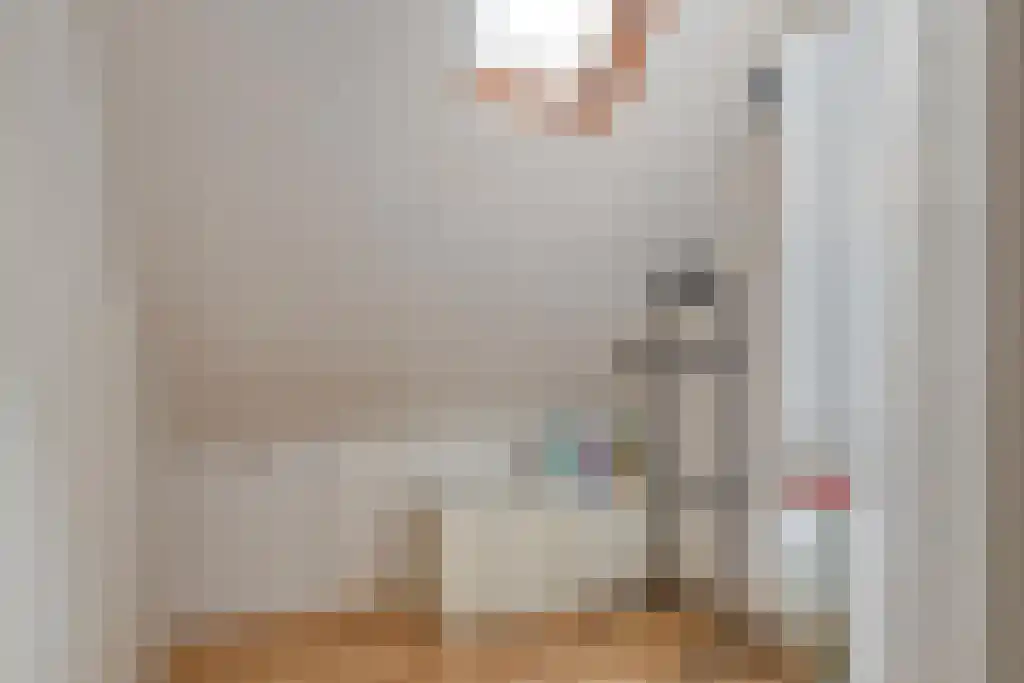Adelaertstraat 25 Eindhoven thumbnail 22
