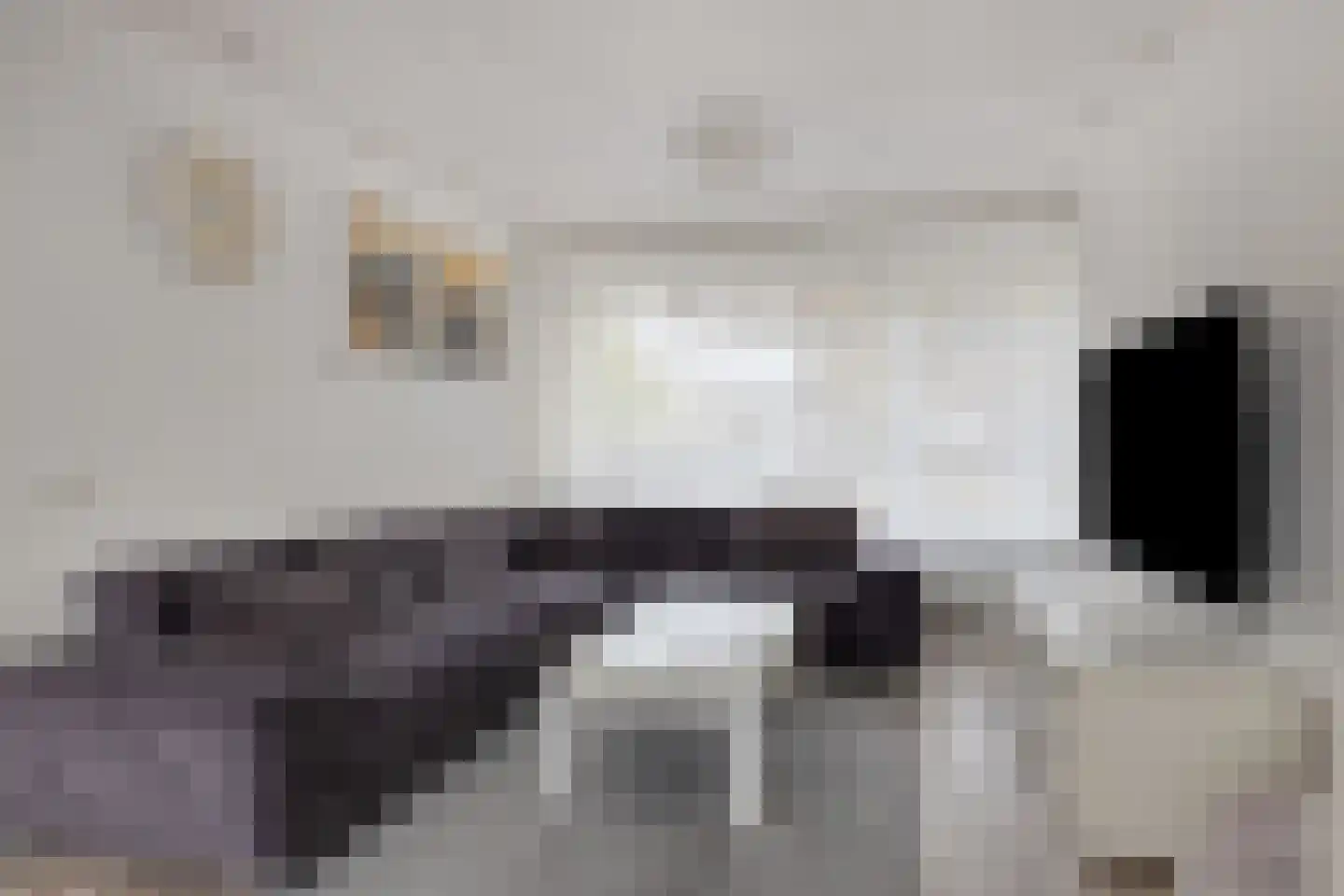Adelaertstraat 25 Eindhoven thumbnail 5