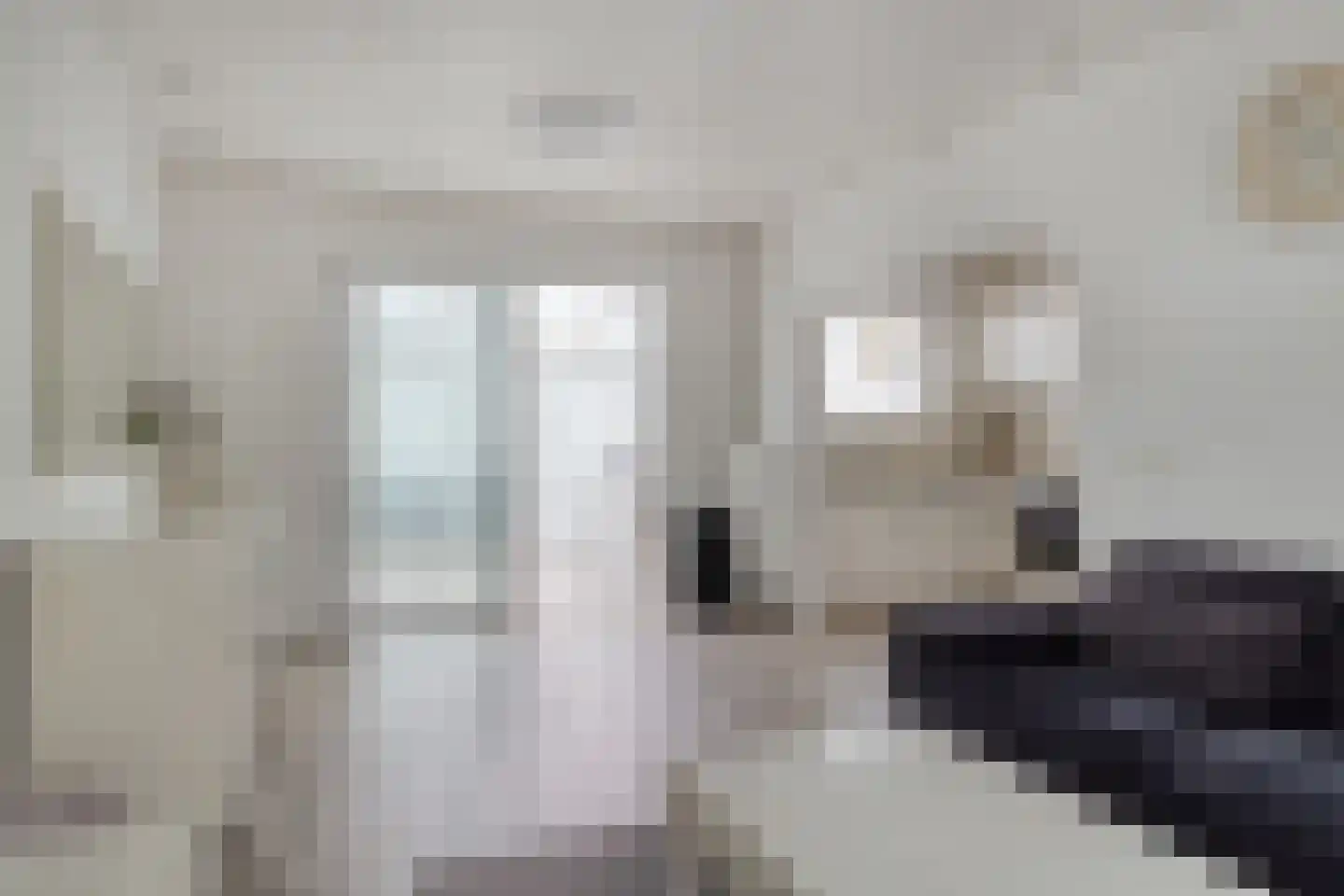 Adelaertstraat 25 Eindhoven thumbnail 6