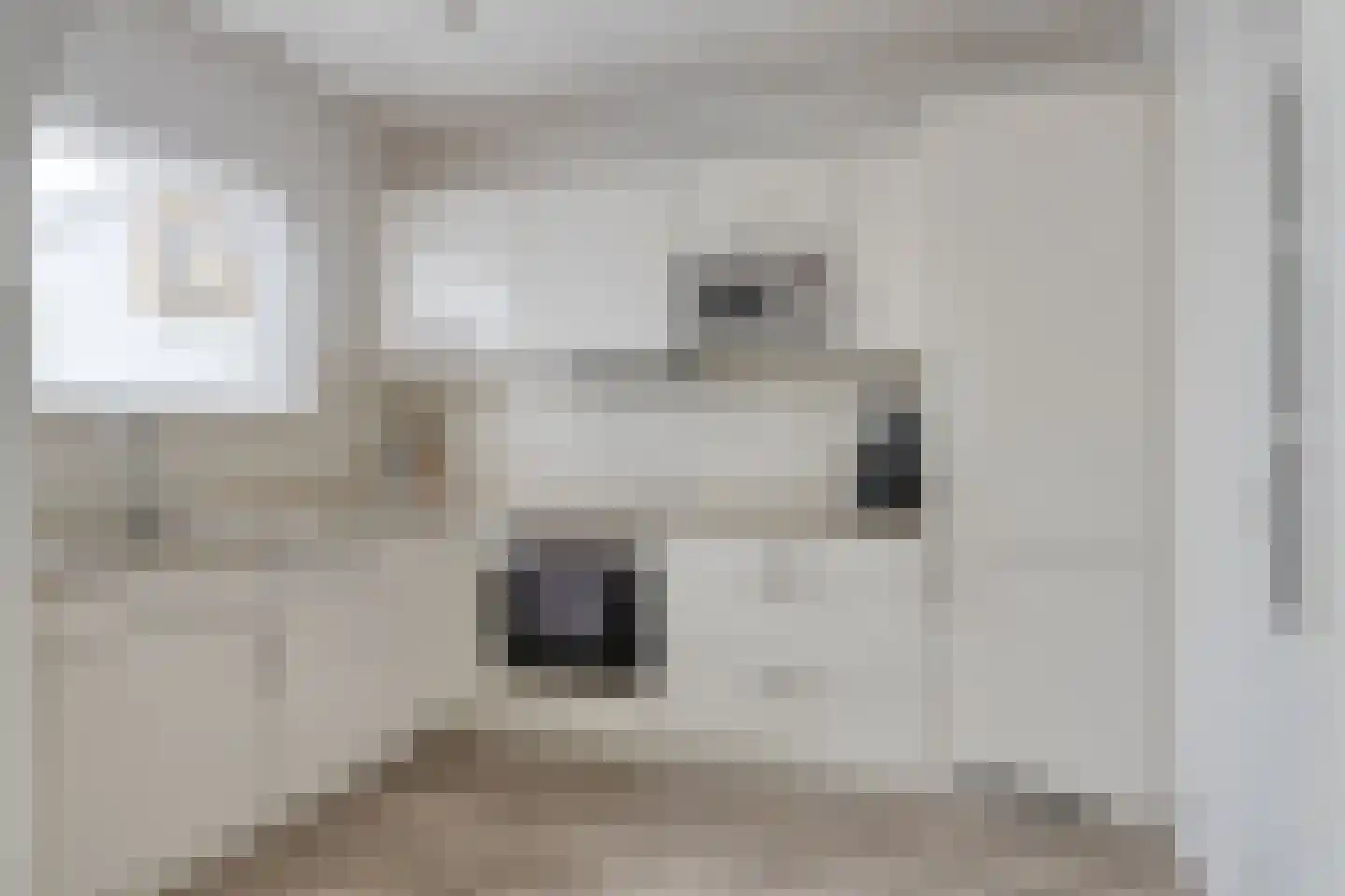 Adelaertstraat 25 Eindhoven thumbnail 8