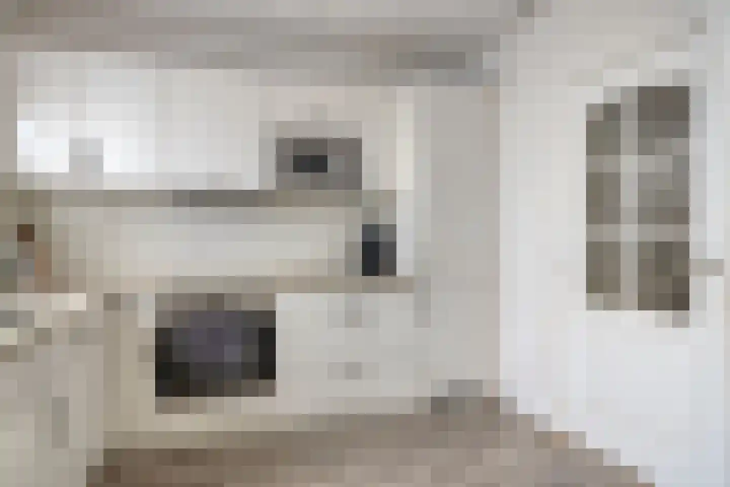 Adelaertstraat 25 Eindhoven thumbnail 9