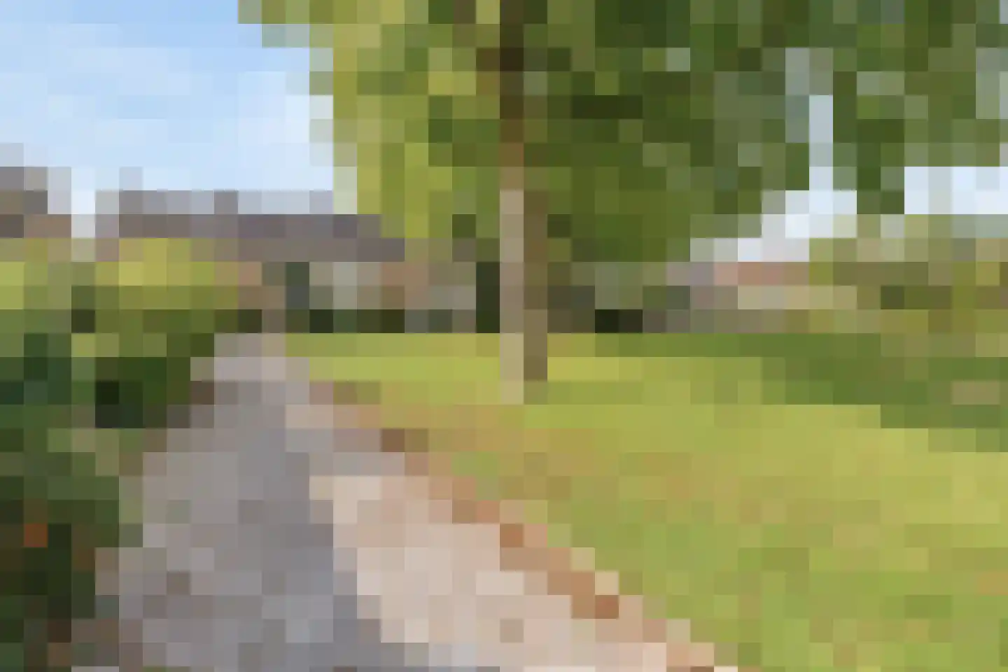 Adelaertstraat 28 Eindhoven thumbnail 11