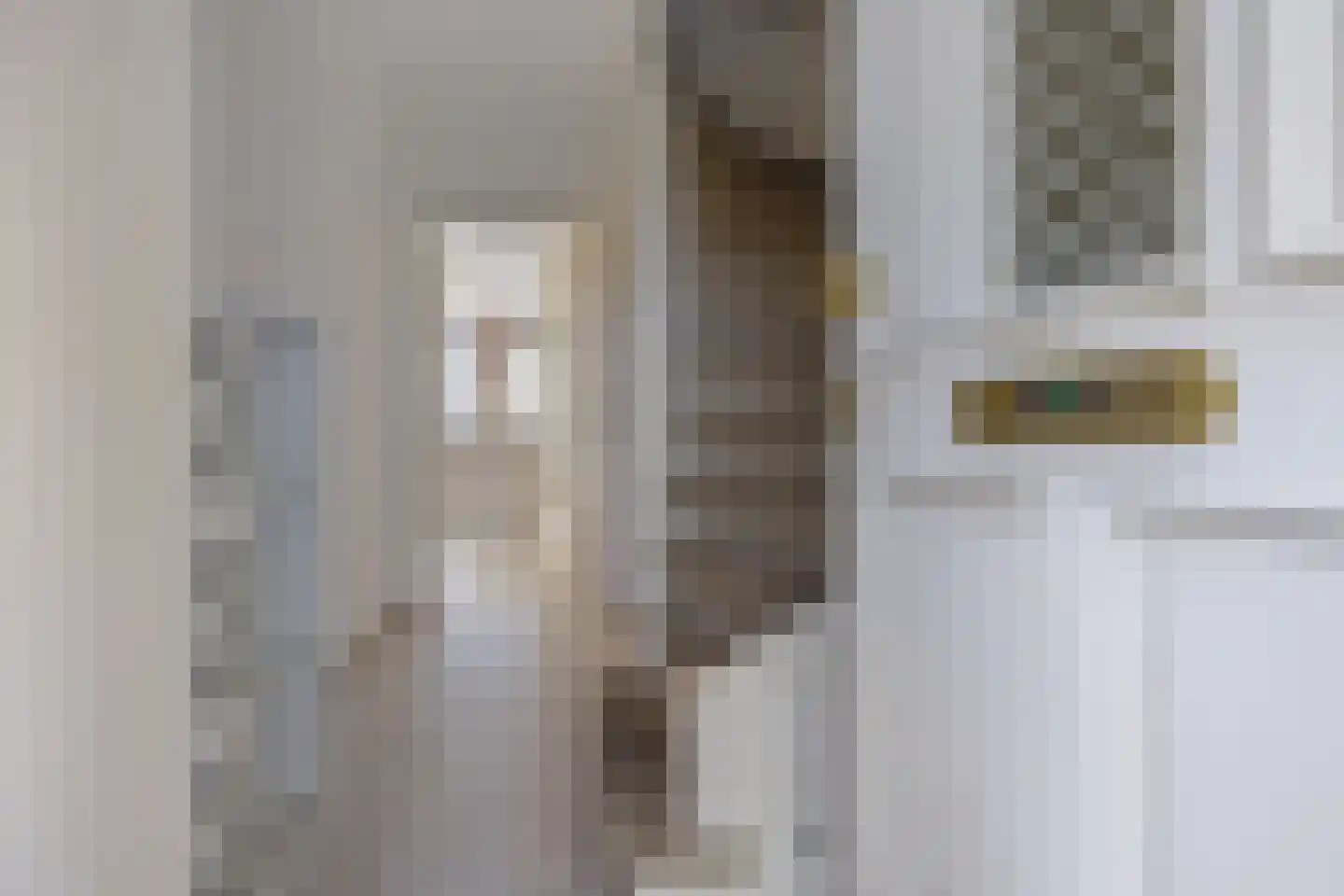 Adelaertstraat 28 Eindhoven thumbnail 12