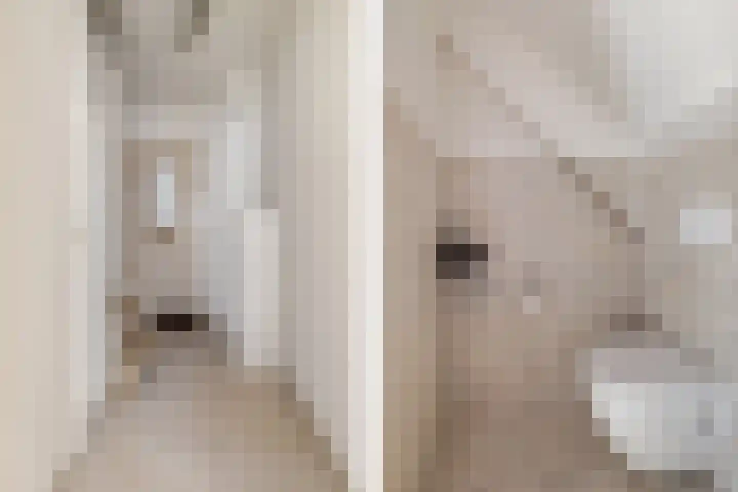 Adelaertstraat 28 Eindhoven thumbnail 14