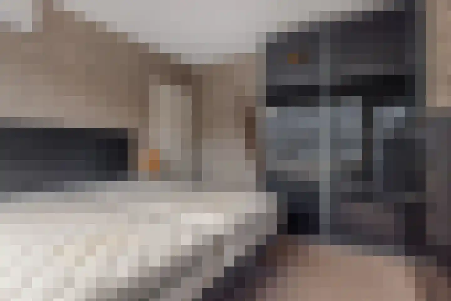 Adelaertstraat 28 Eindhoven thumbnail 27