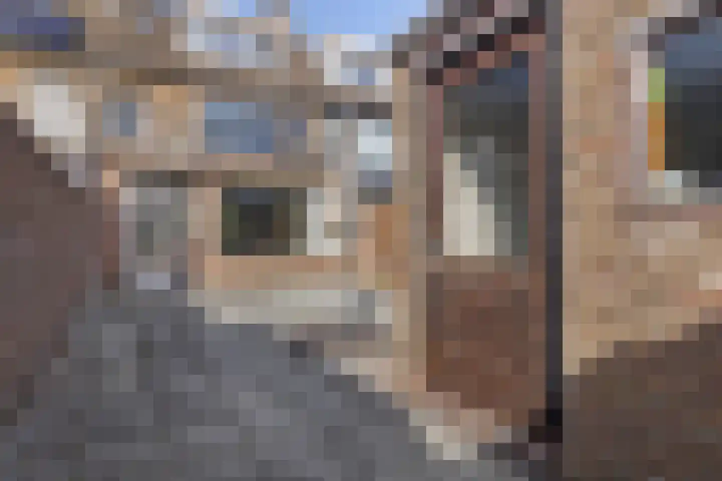 Adelaertstraat 28 Eindhoven thumbnail 40