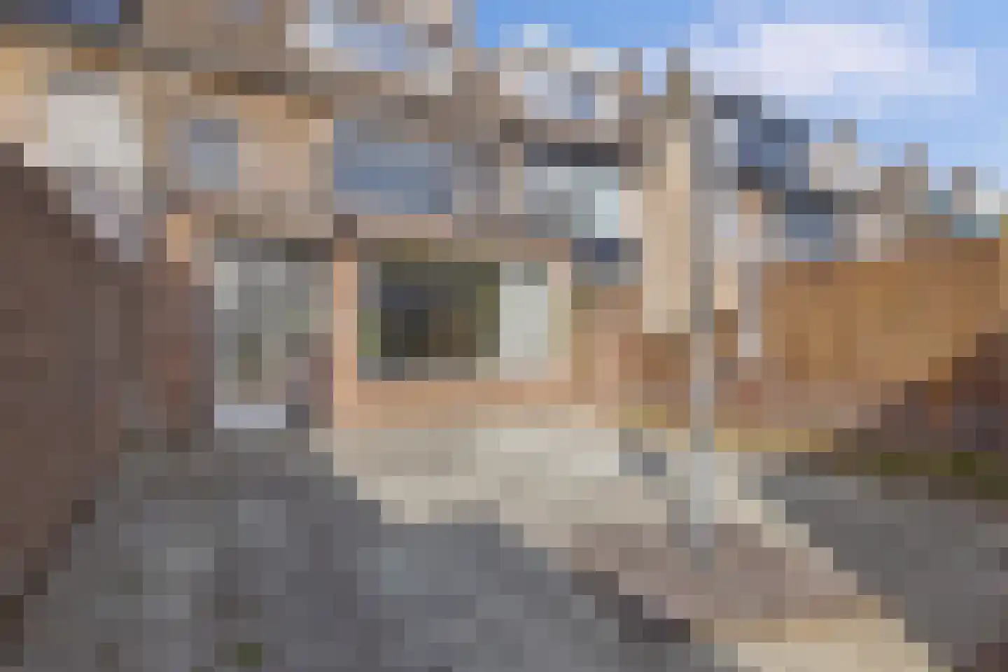 Adelaertstraat 28 Eindhoven thumbnail 41