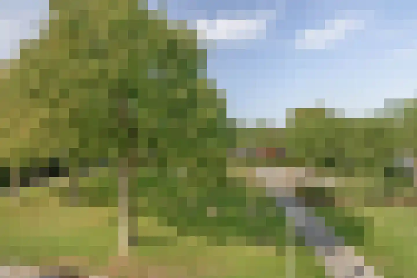 Adelaertstraat 28 Eindhoven thumbnail 5