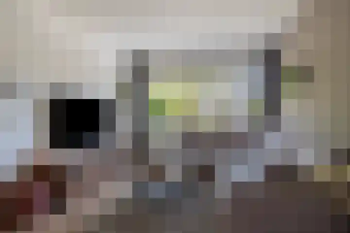 Adelaertstraat 29 Eindhoven thumbnail 13