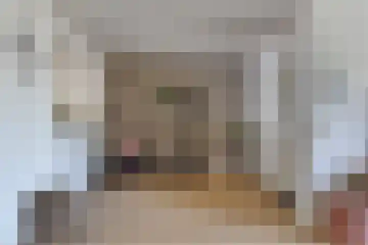 Adelaertstraat 29 Eindhoven thumbnail 14