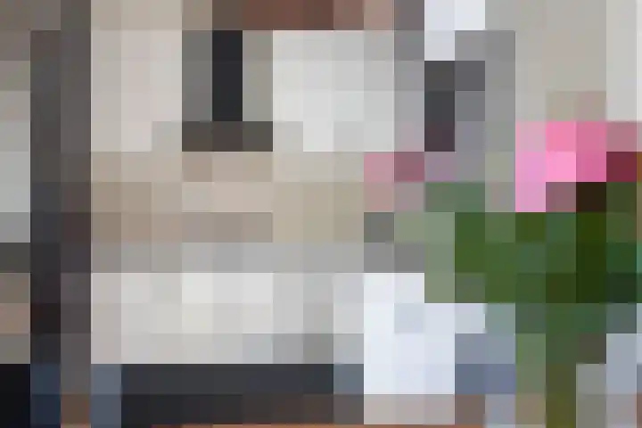 Adelaertstraat 29 Eindhoven thumbnail 17