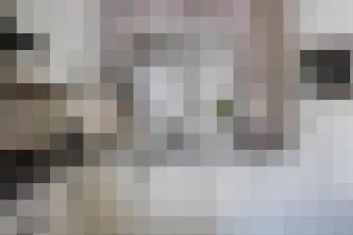 Adelaertstraat 29 Eindhoven thumbnail 18