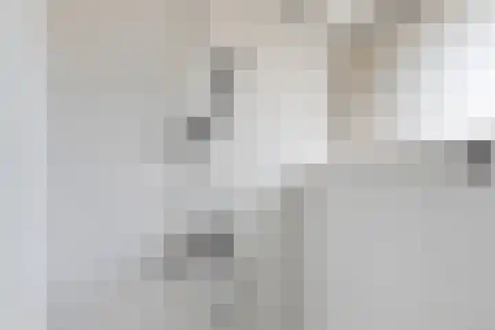 Adelaertstraat 29 Eindhoven thumbnail 23