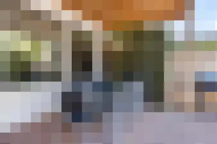 Adelaertstraat 29 Eindhoven thumbnail 31