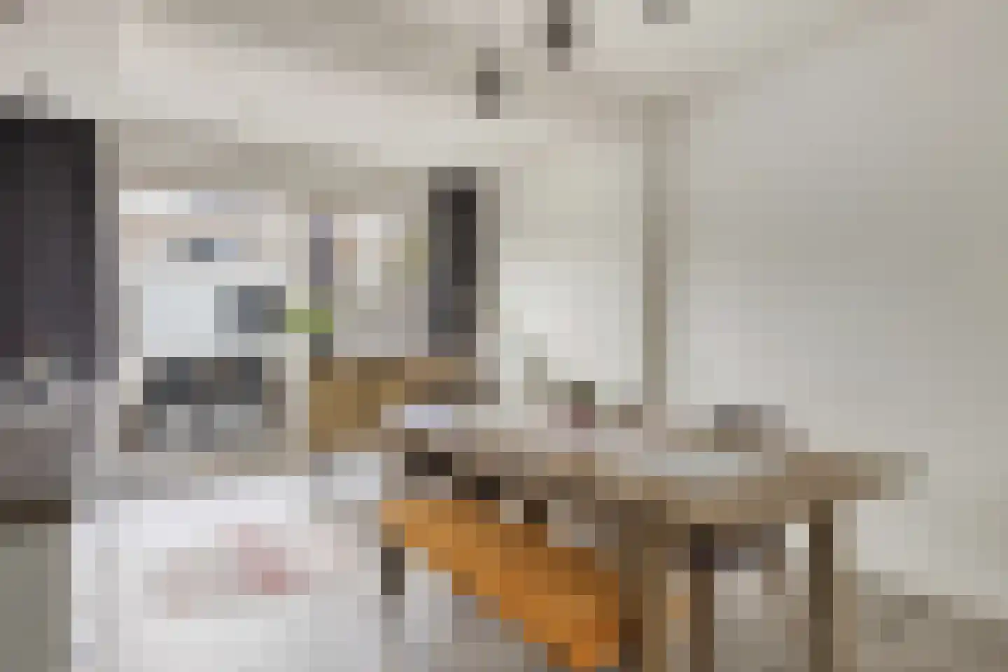 Adelaertstraat 3 Eindhoven thumbnail 11