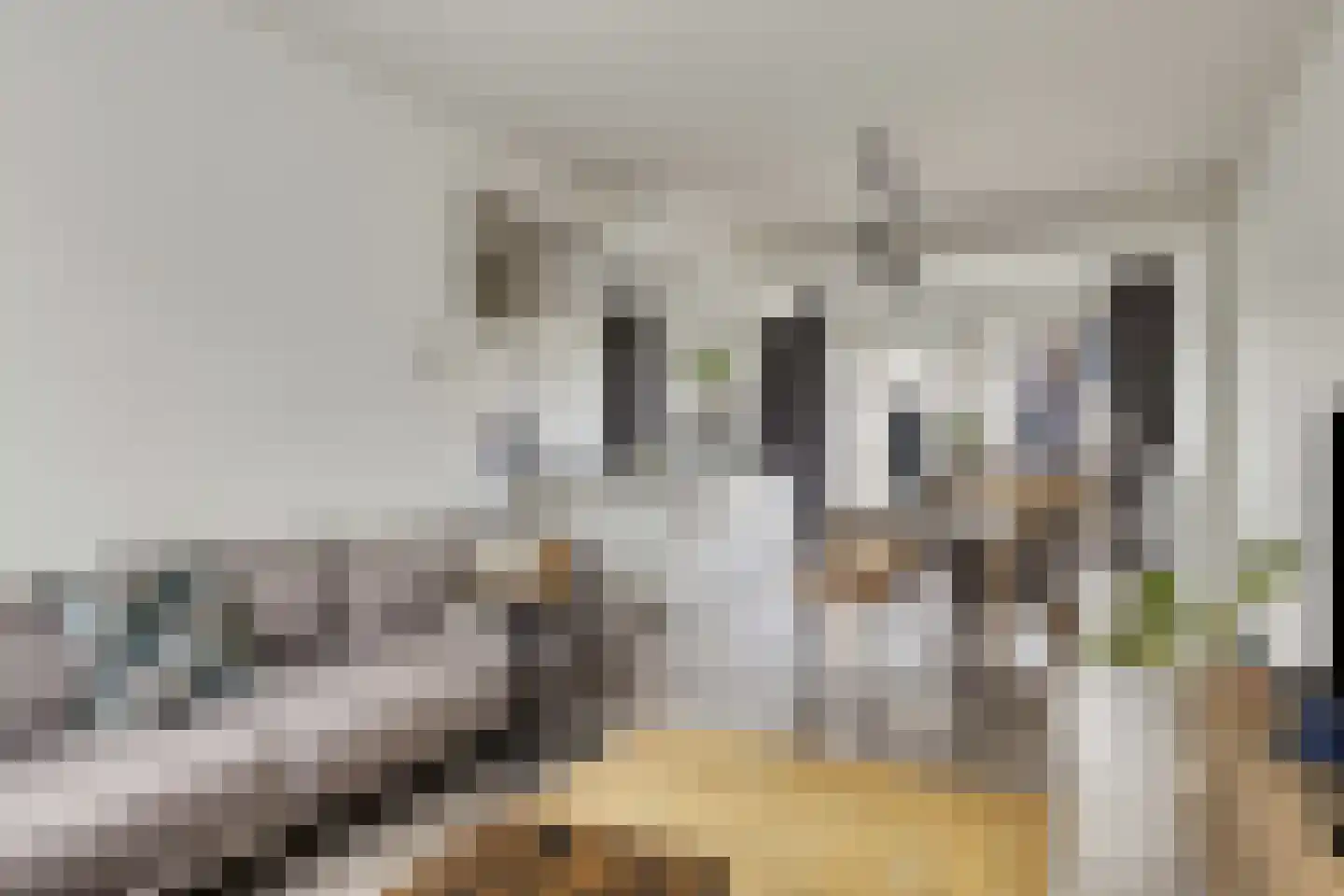 Adelaertstraat 3 Eindhoven thumbnail 9