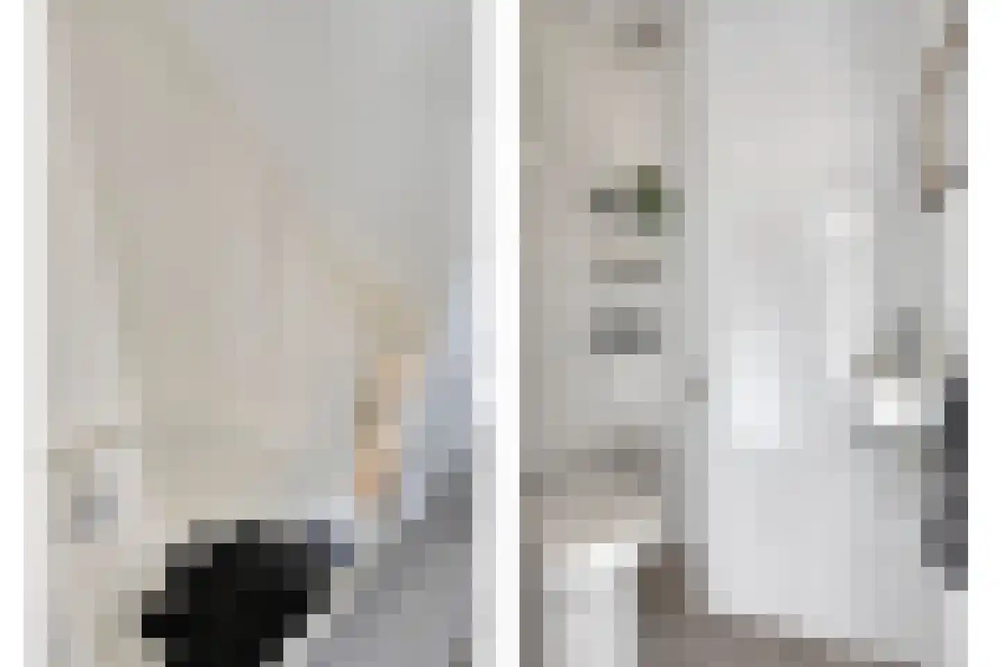 Adelaertstraat 37 Eindhoven thumbnail 13