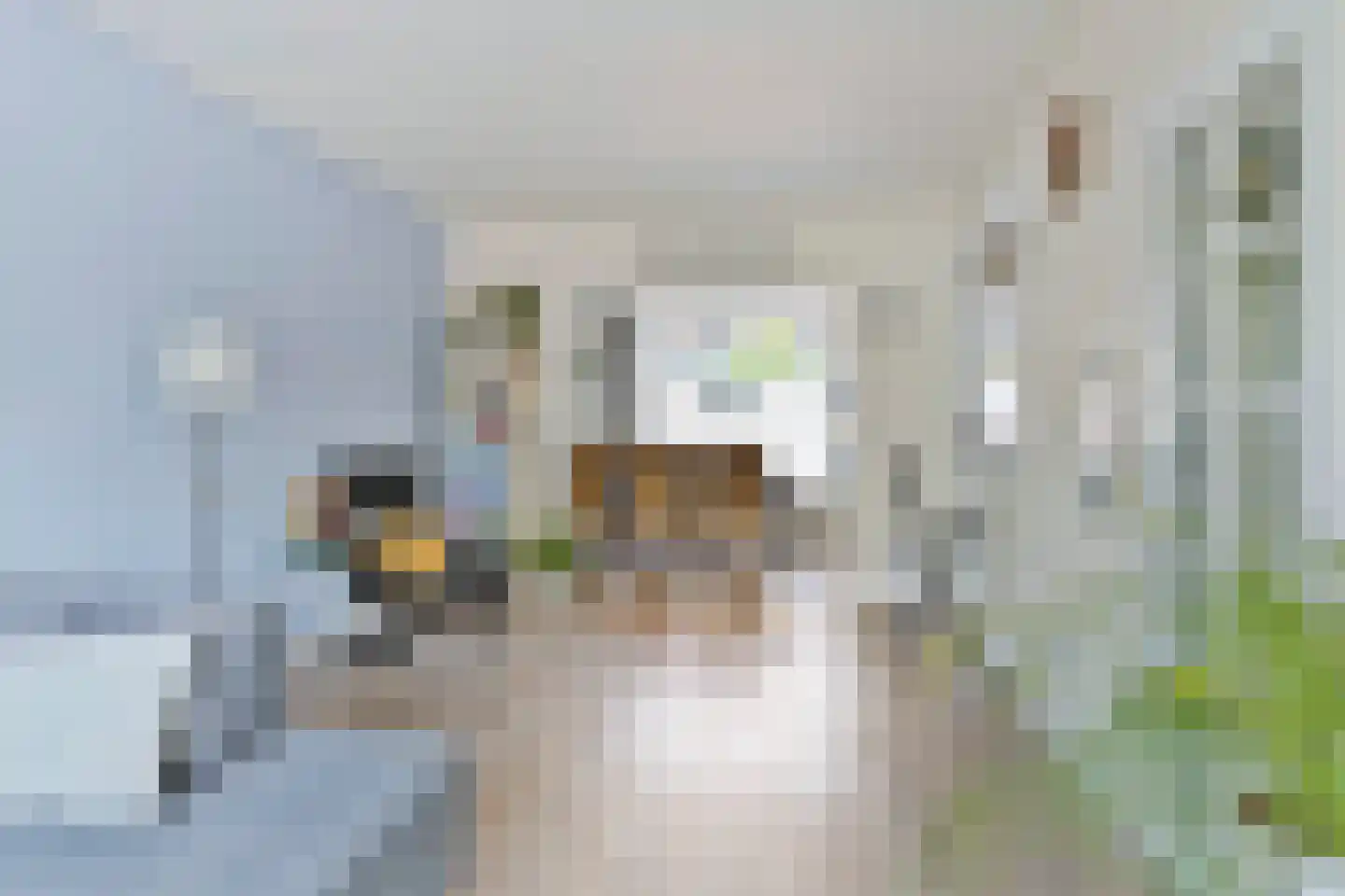 Adelaertstraat 37 Eindhoven thumbnail 16