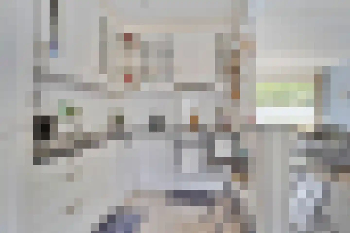 Adelaertstraat 37 Eindhoven thumbnail 17