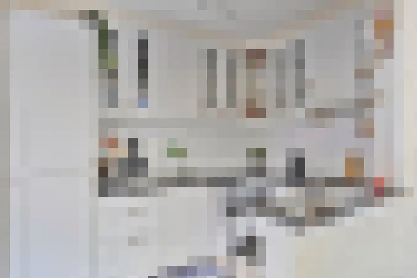 Adelaertstraat 37 Eindhoven thumbnail 18