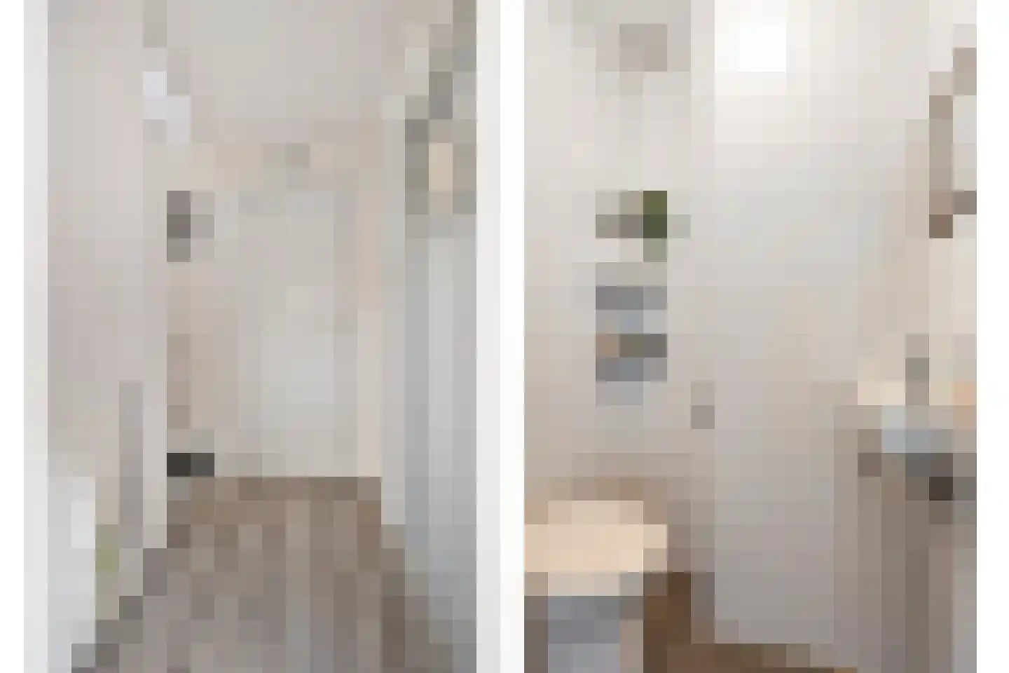 Adelaertstraat 37 Eindhoven thumbnail 23