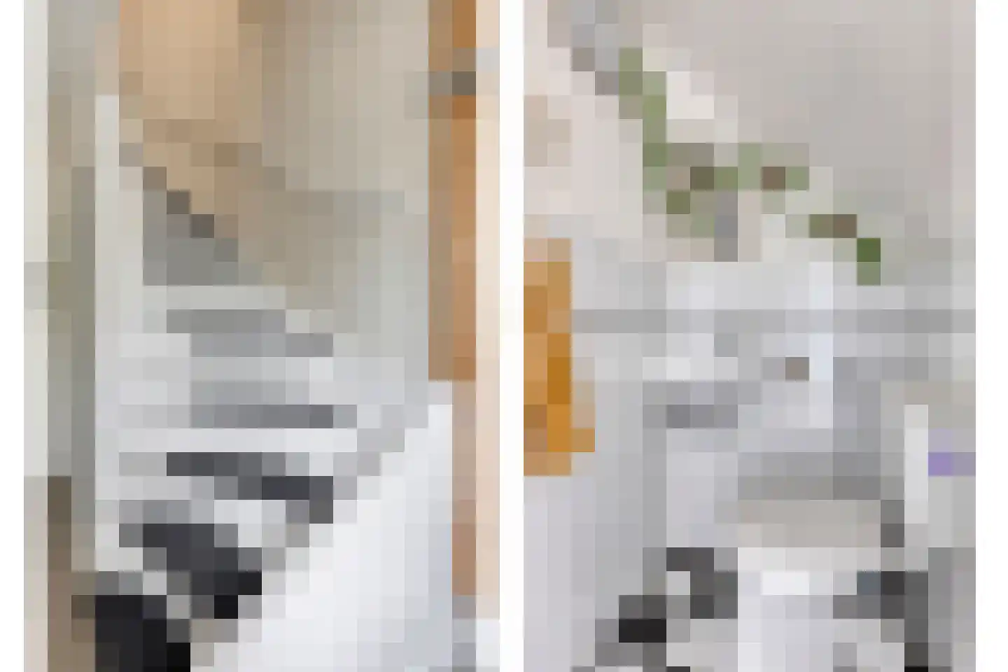 Adelaertstraat 37 Eindhoven thumbnail 6