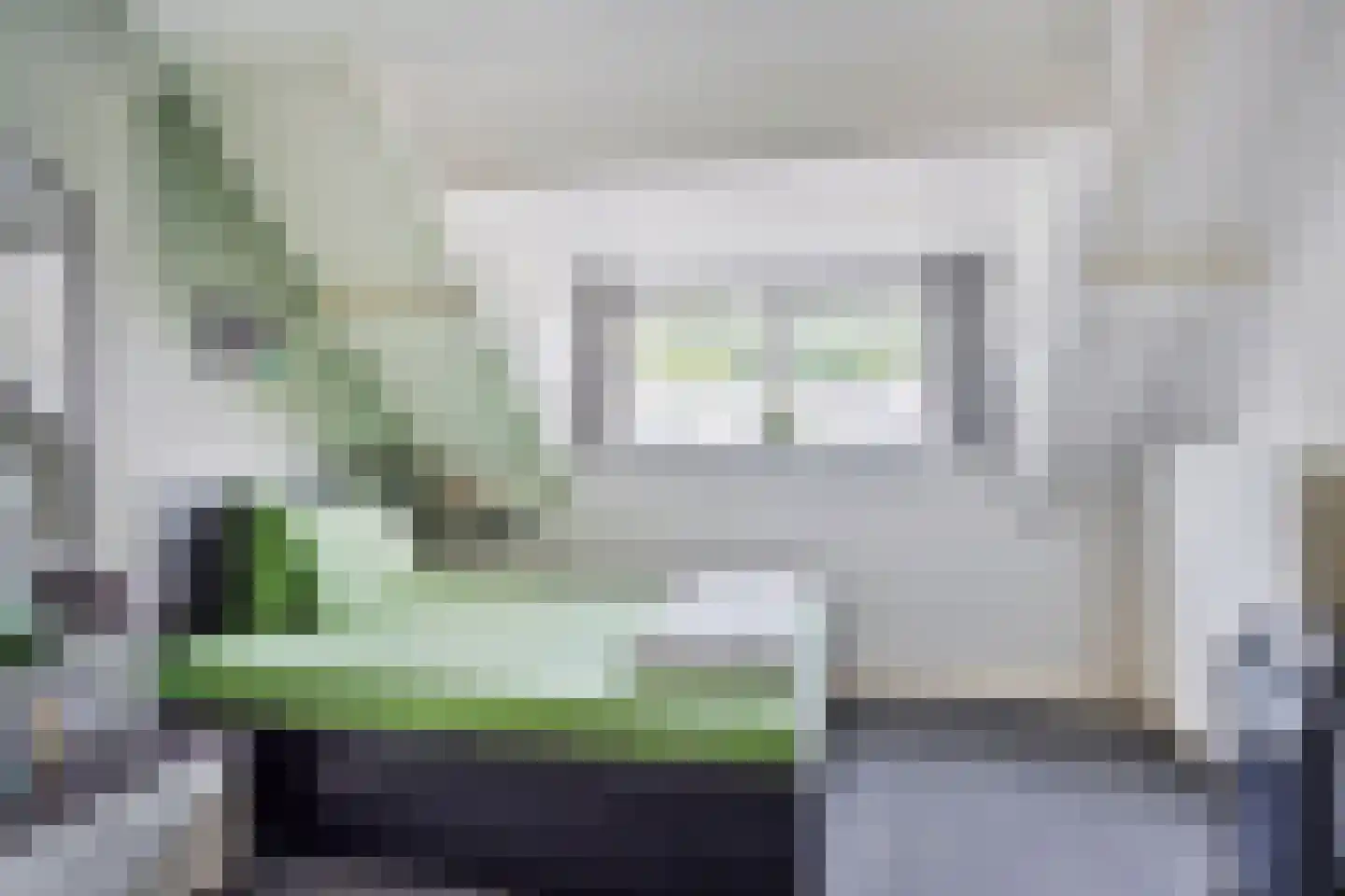Adelaertstraat 37 Eindhoven thumbnail 6