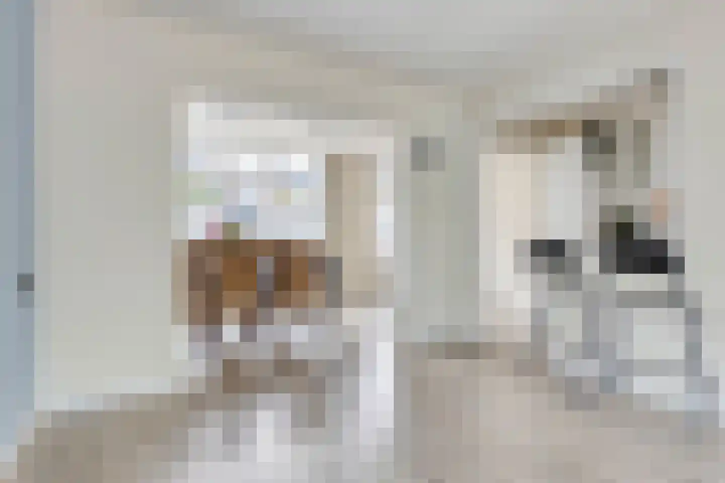 Adelaertstraat 37 Eindhoven thumbnail 9