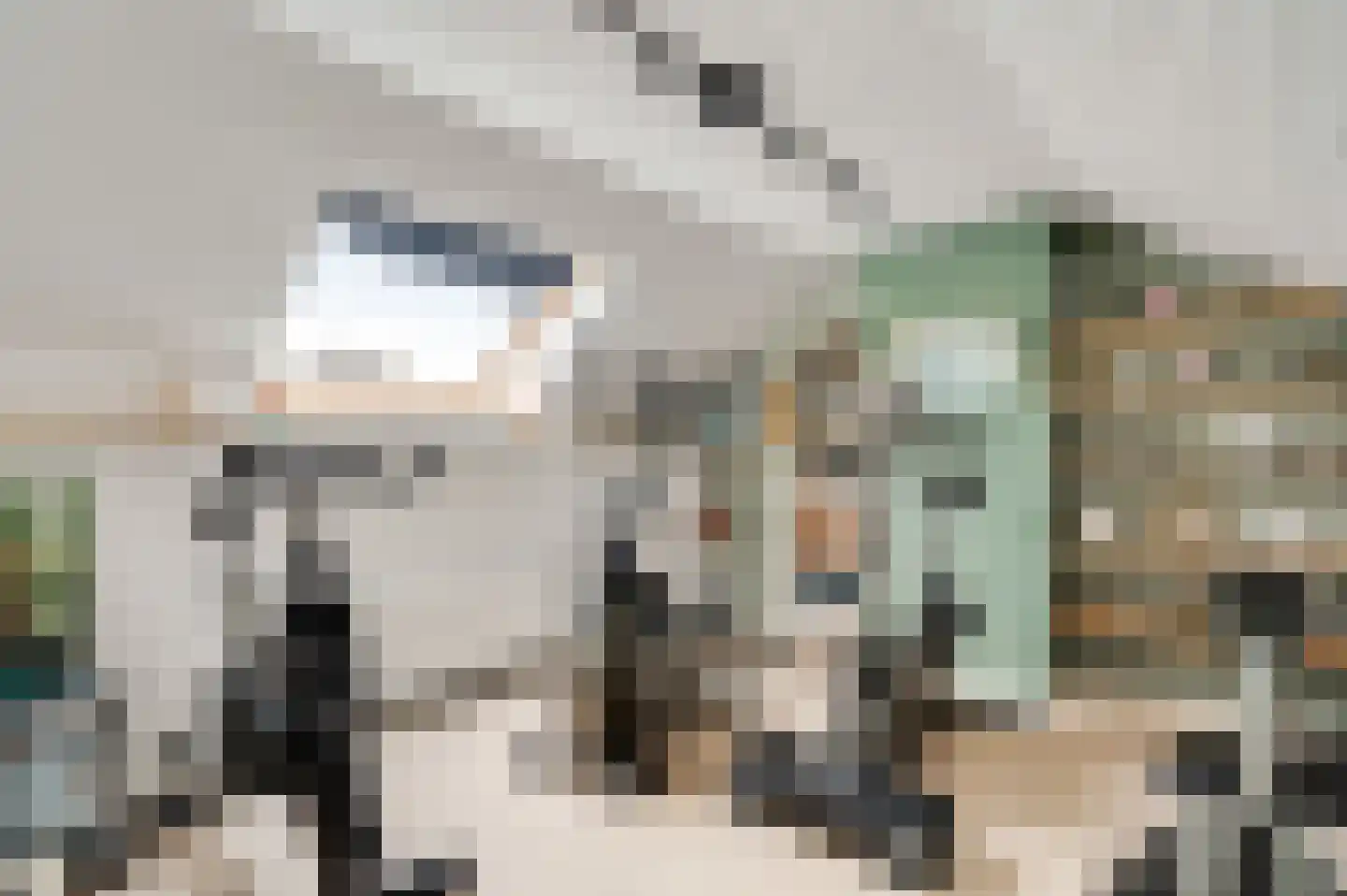 Adelastraat 4 Weert thumbnail 30