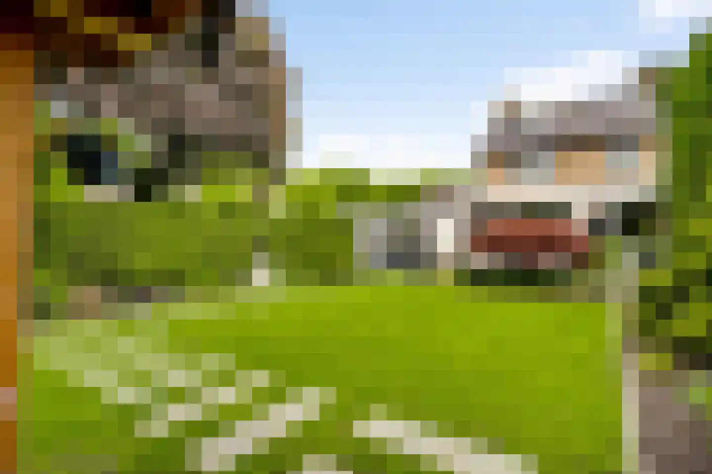 Adelastraat 4 Weert thumbnail 34