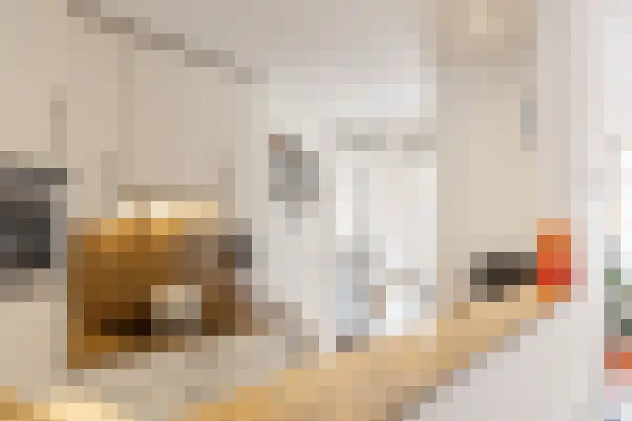 Adelbert van Scharnlaan 175 A Maastricht thumbnail 15