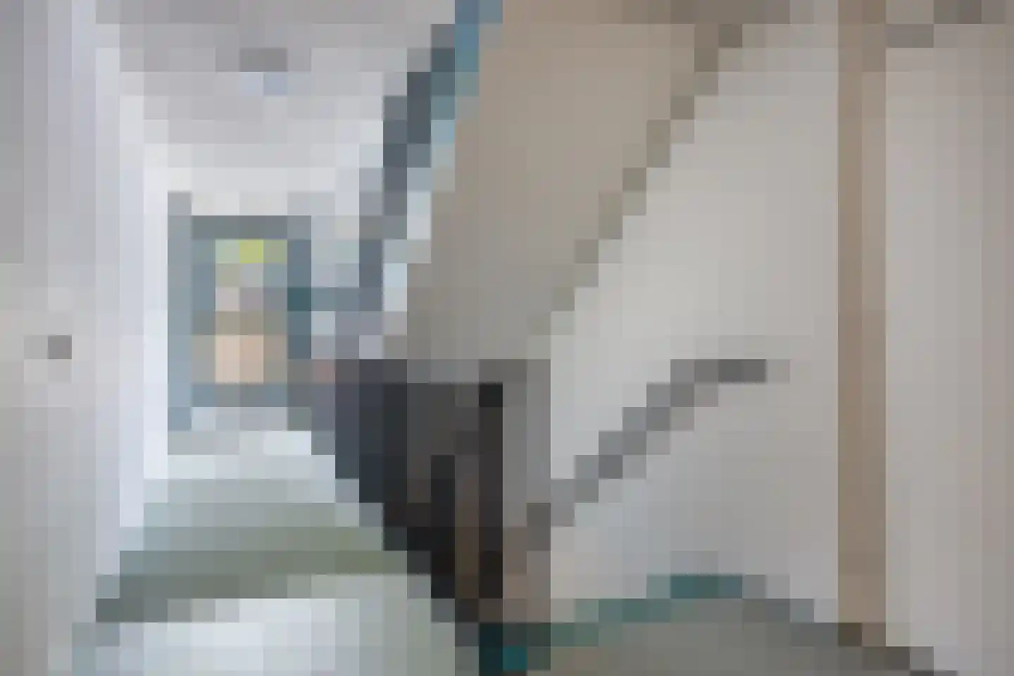 Adelbert van Scharnlaan 177 A Maastricht thumbnail 37