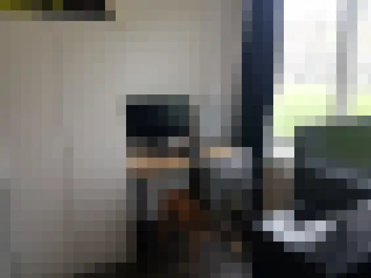 Adelbert van Scharnlaan 200 Maastricht thumbnail 6