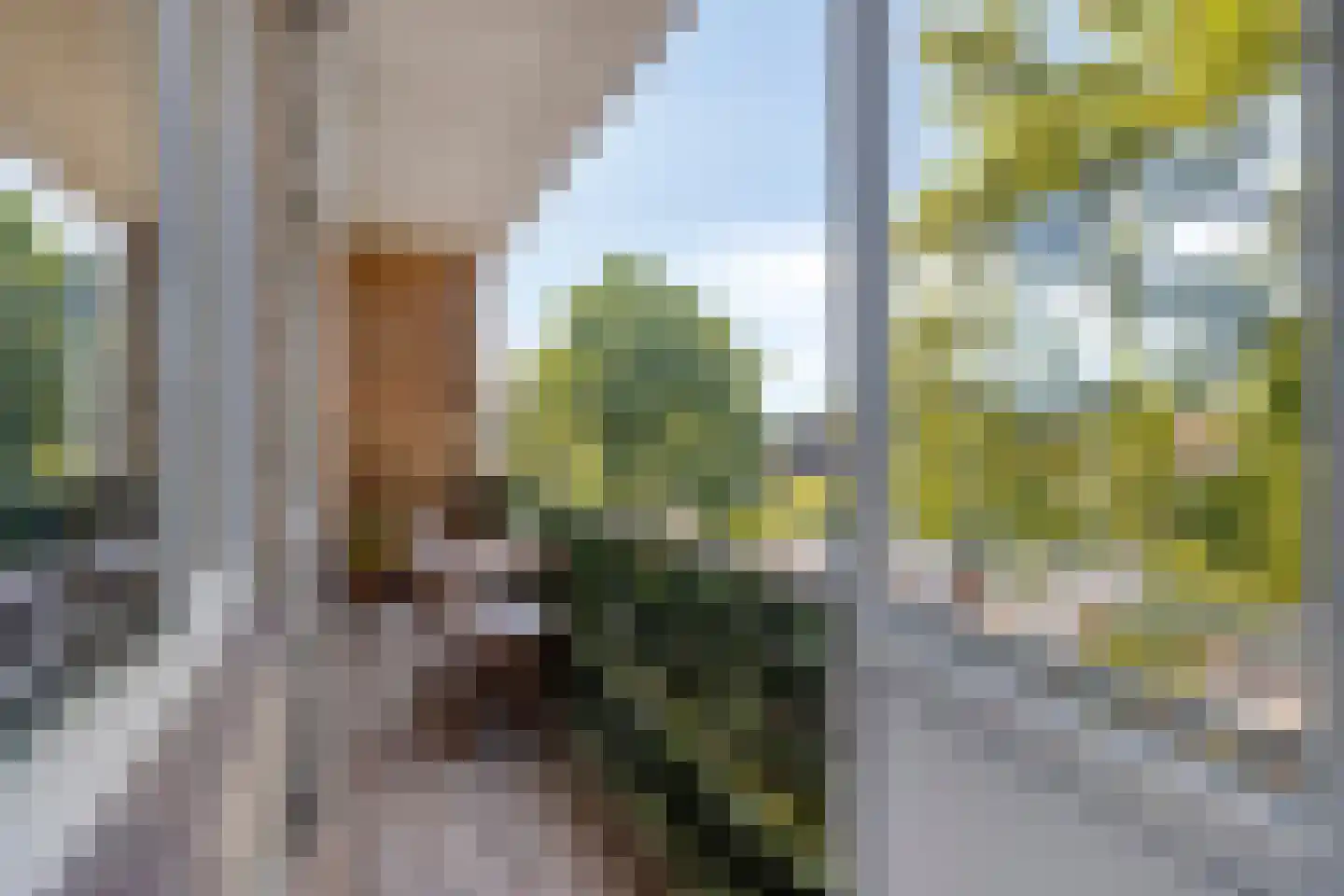 Adelbert van Scharnlaan E 15 Maastricht thumbnail 18