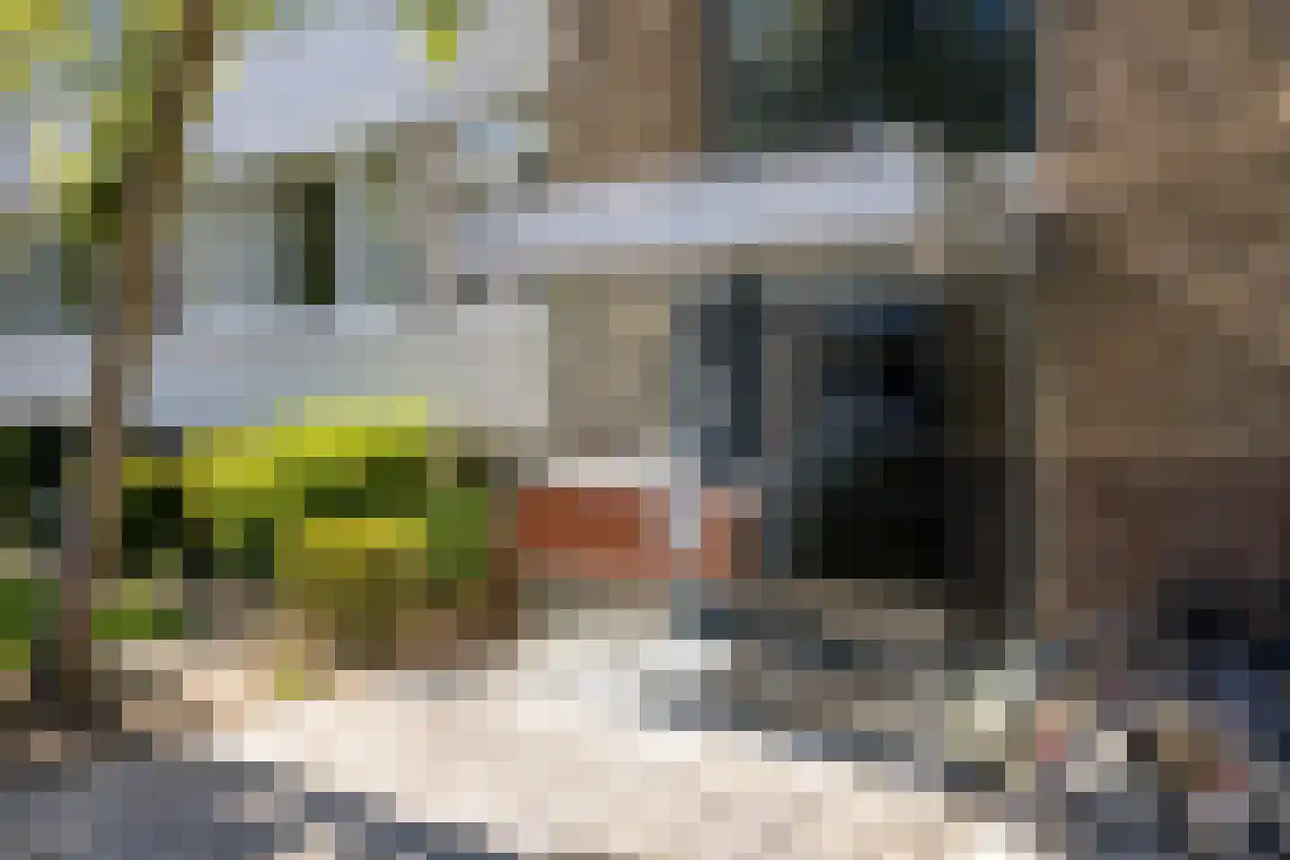 Adelbert van Scharnlaan E 15 Maastricht thumbnail 27