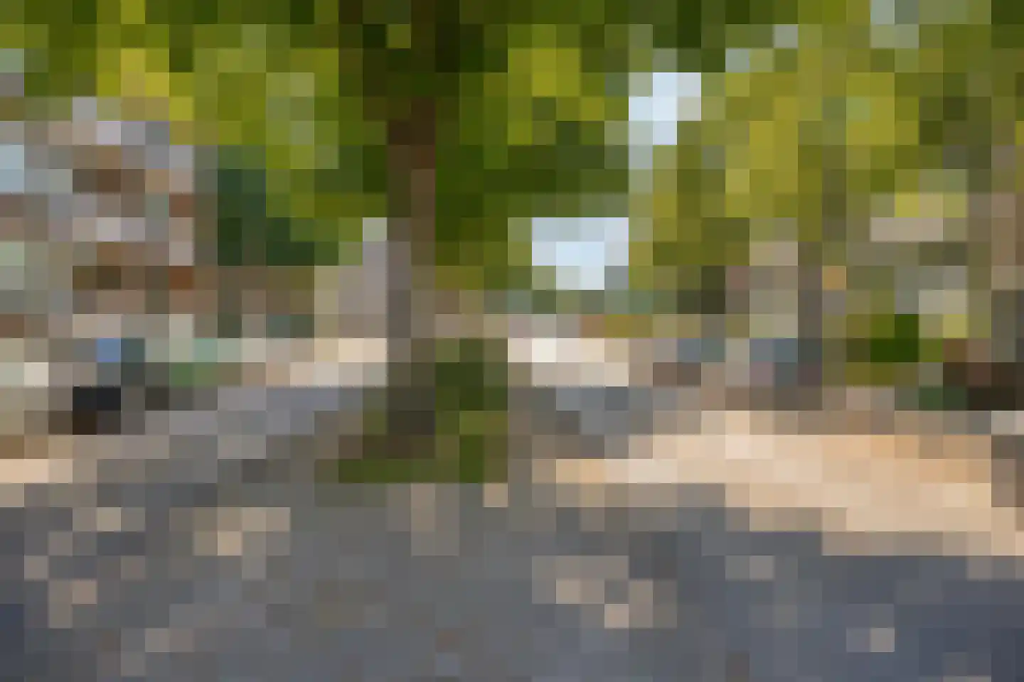 Adelbert van Scharnlaan E 15 Maastricht thumbnail 37