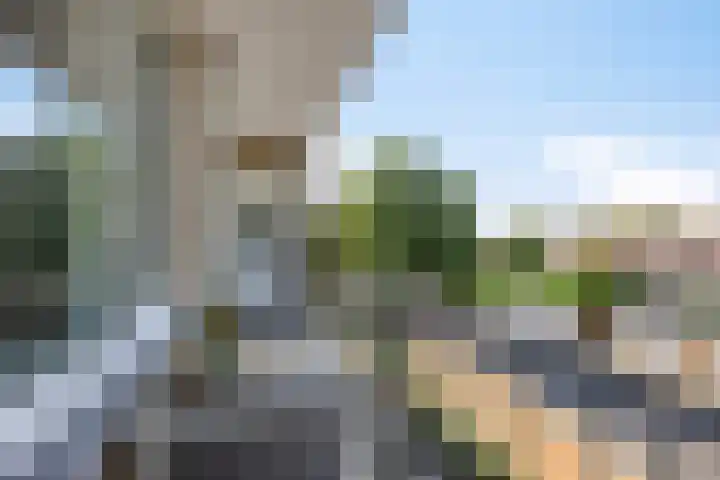 Adelbert van Scharnlaan E 19 Maastricht thumbnail 16