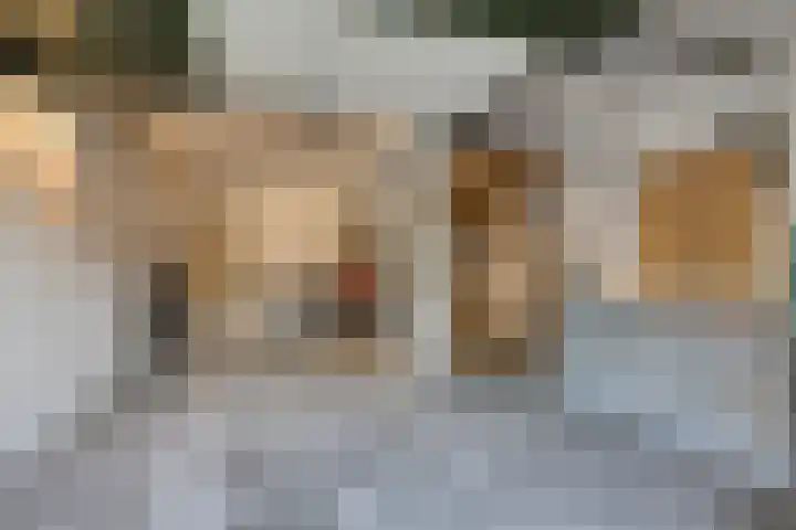 Adelbert van Scharnlaan E 19 Maastricht thumbnail 25