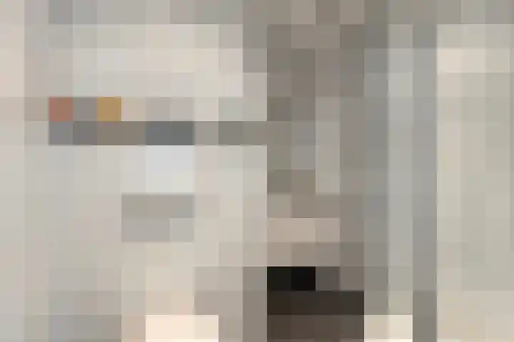 Adelbert van Scharnlaan E 20 Maastricht thumbnail 13