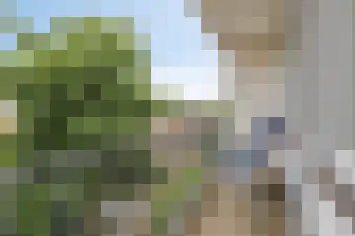 Adelbert van Scharnlaan E 20 Maastricht thumbnail 15