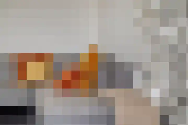 Adelbert van Scharnlaan E 20 Maastricht thumbnail 4