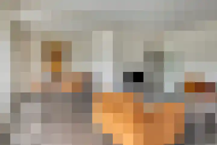 Adelbert van Scharnlaan E 20 Maastricht thumbnail 5