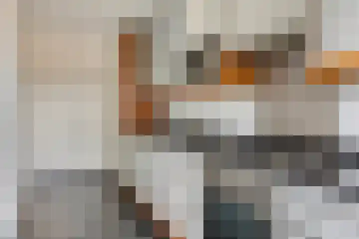 Adelbert van Scharnlaan E 20 Maastricht thumbnail 9