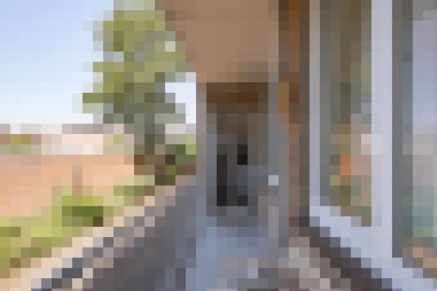 Adelbert van Scharnlaan E 21 Maastricht thumbnail 12