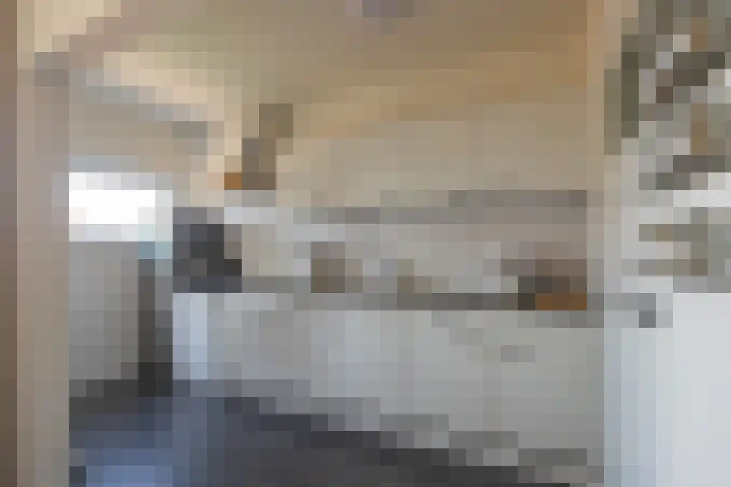 Adelbert van Scharnlaan E 21 Maastricht thumbnail 6