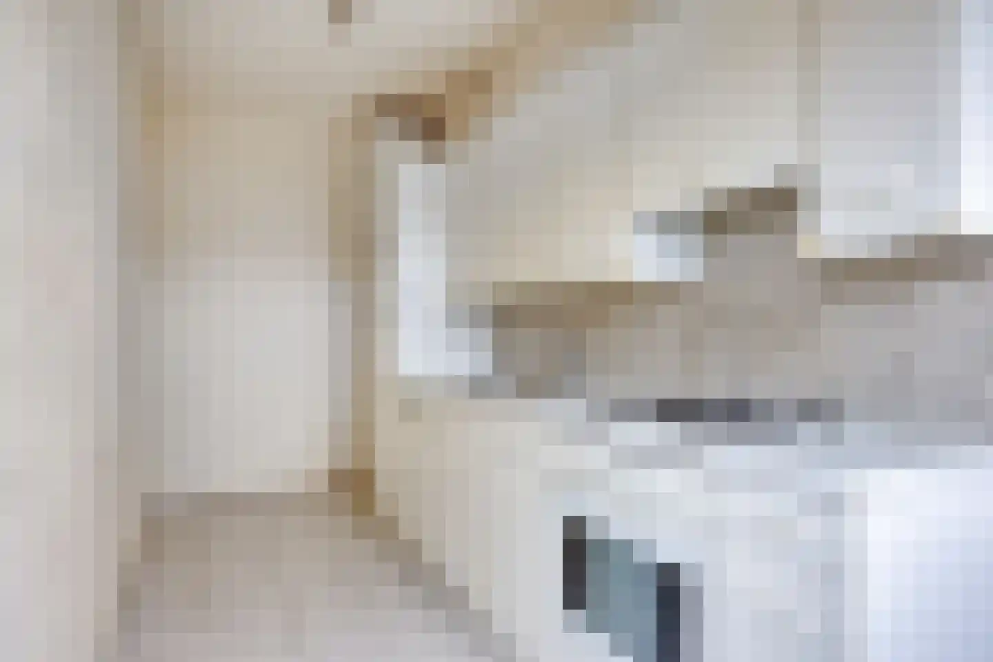 Adelbert van Scharnlaan E 3 Maastricht thumbnail 12