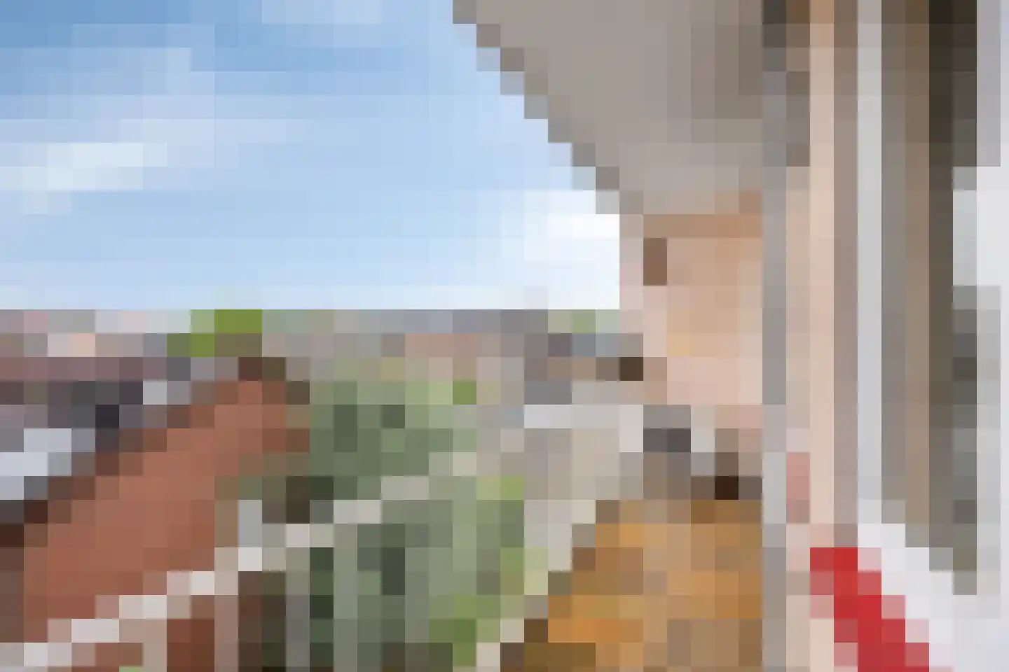 Adelbert van Scharnlaan E 3 Maastricht thumbnail 14